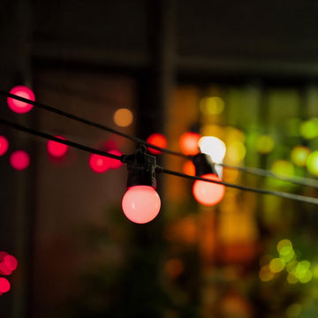 Twinkly 20 LED Festoon String Light AU Plug Black Wire