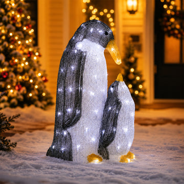 Acrylic Penguin