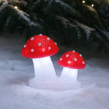 Acrylic Mushroom