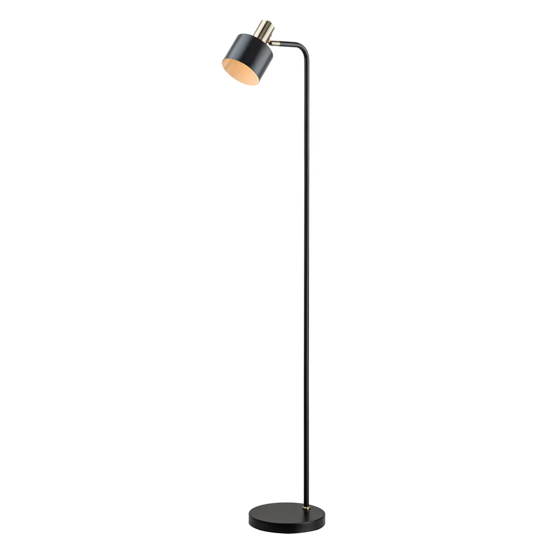 Flotar Interior Cylinder Iron Shade Floor Lamp with Antique Brass Highlight Black