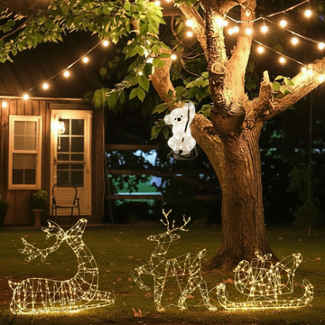 Aussie Christmas Light Set