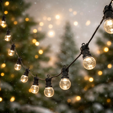 20 LED Clear/Opal Globes String Festoon Light