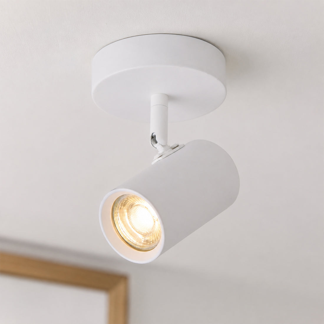 Brianna 1 Light Spot Light - White/Black
