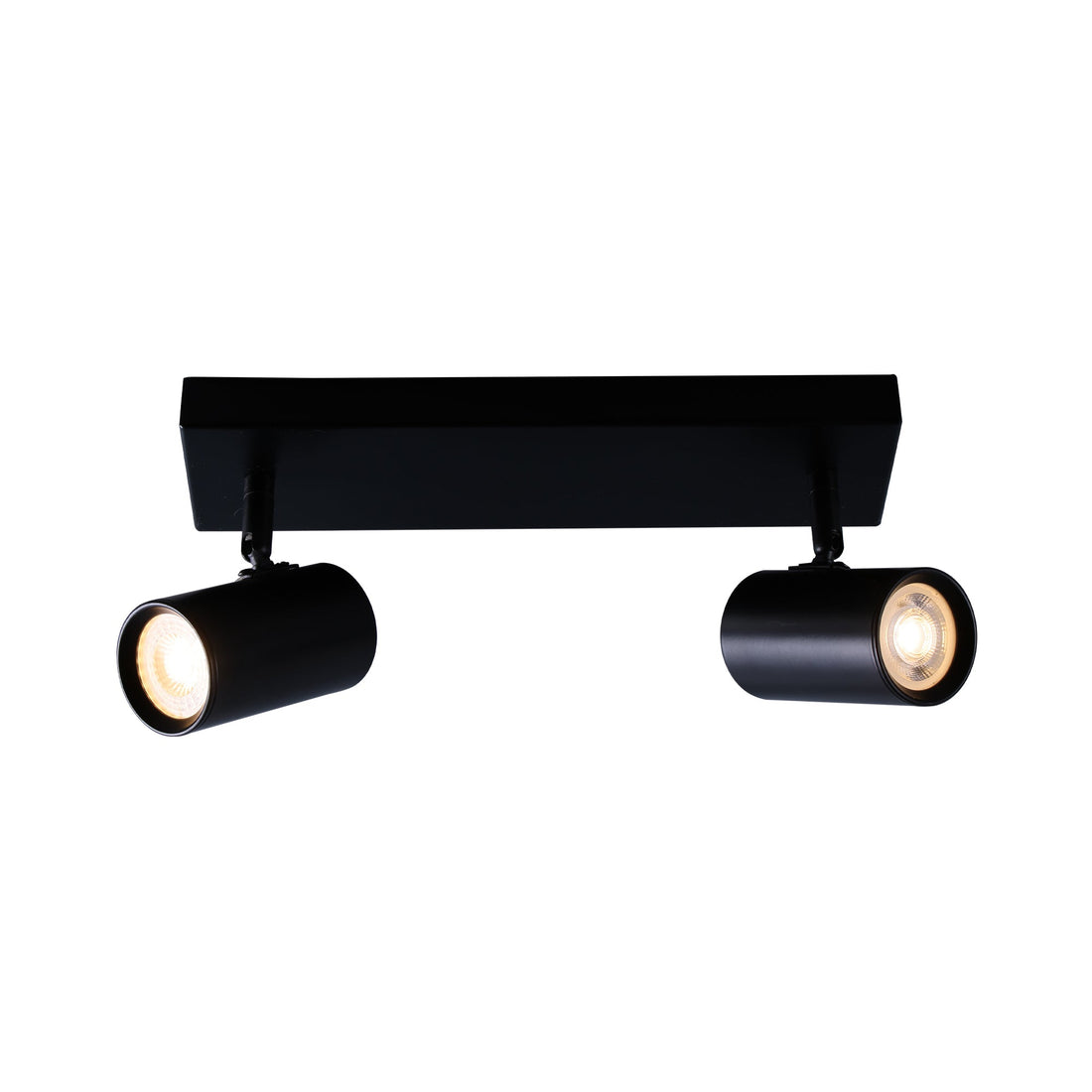 Brianna 2 Light Spot Light - White/Black