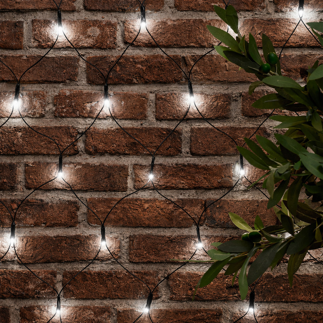 Dual Power 160 LED Connectable Net Light - 3 Colour Options
