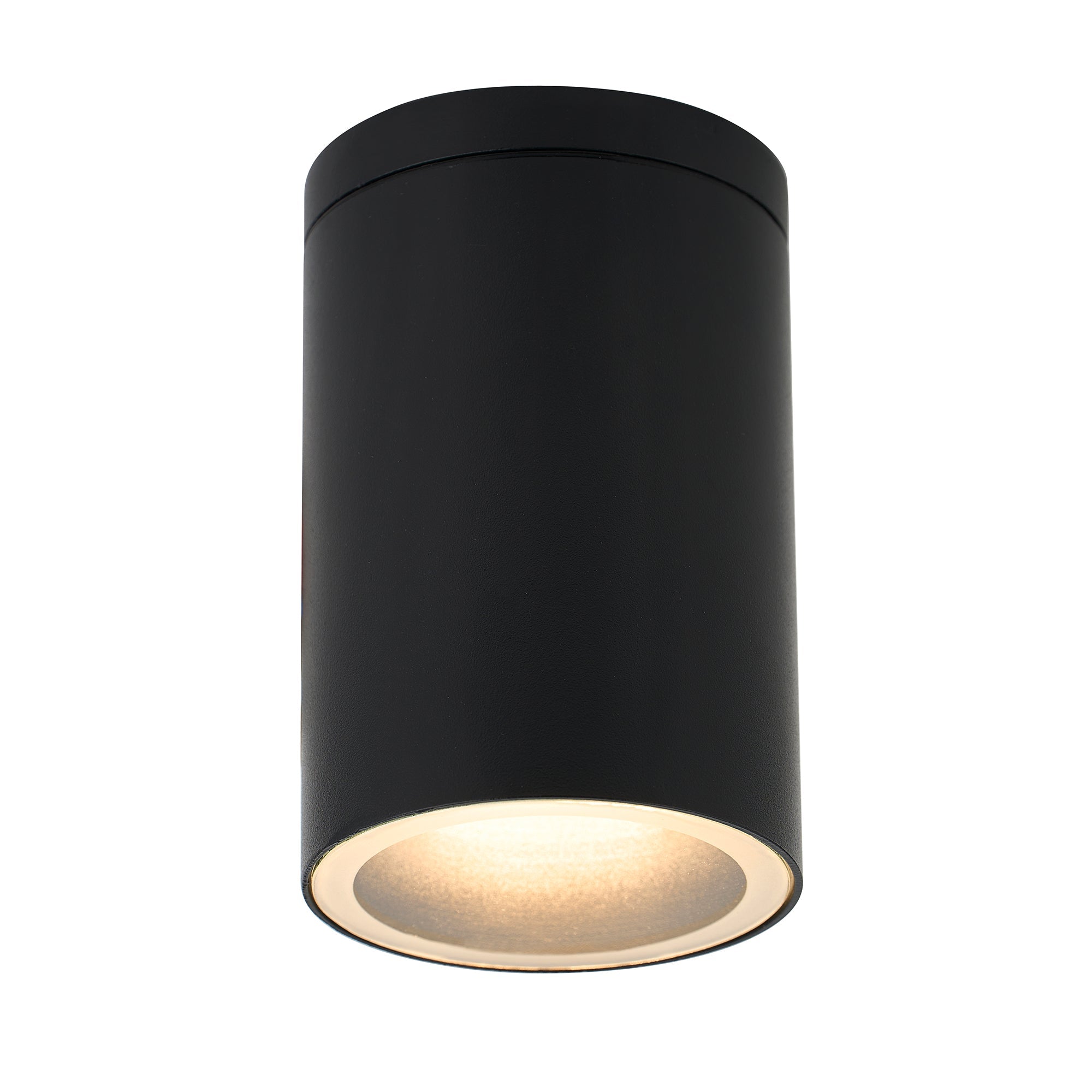Myren Outdoor Ceiling Light - Black