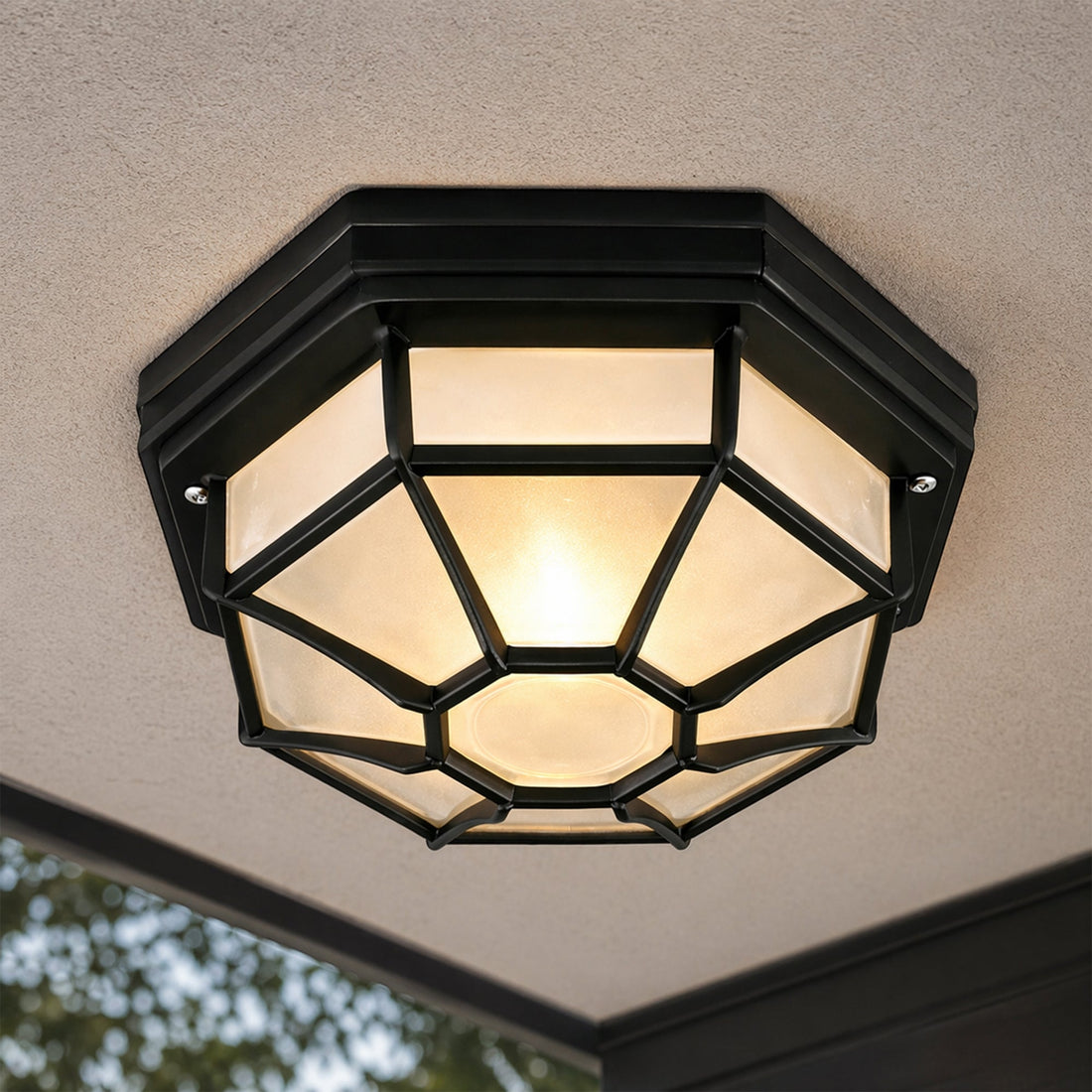Alaya Outdoor Mounted Ceiling Light Black