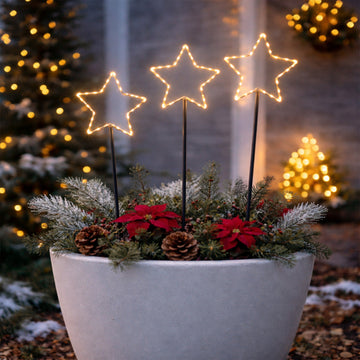Outdoor Star Garden Light