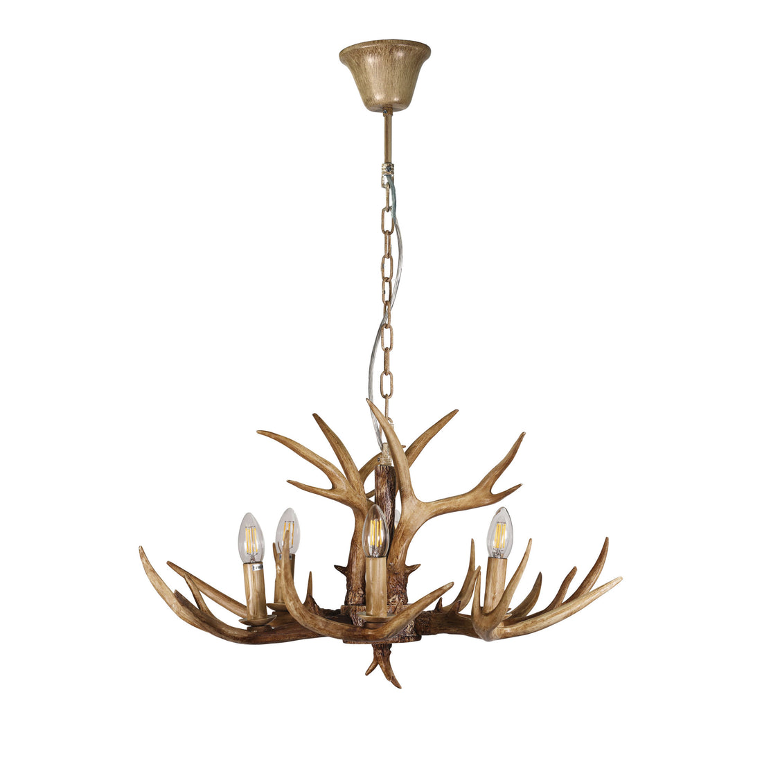 Hyort Kd Version Designer Pendant Light 6lt