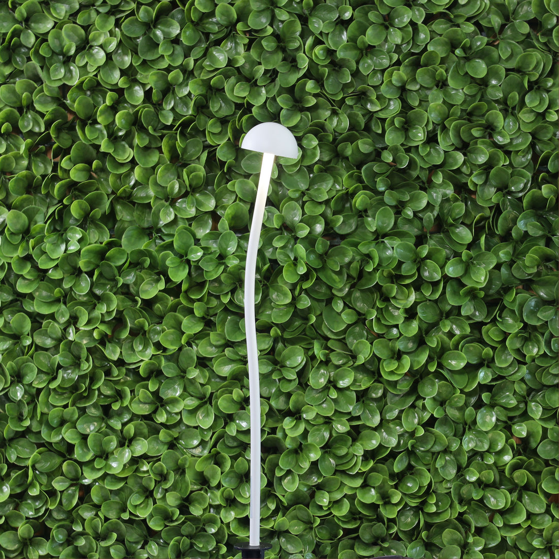Enoki DIY Garden Light-1 Light