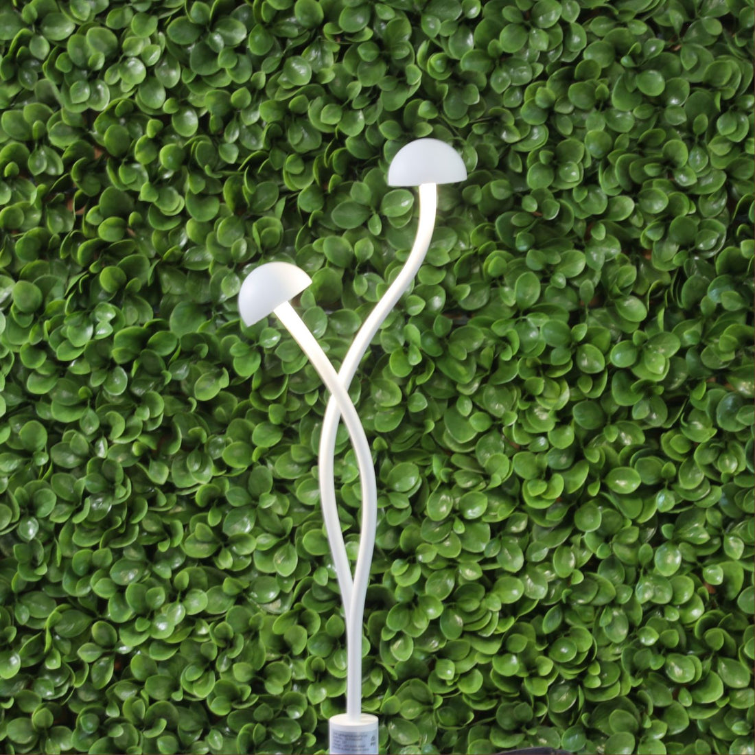 Enoki DIY Garden Light-2 Light