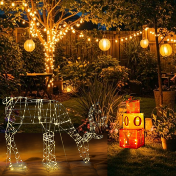 Starlit Reindeer Set
