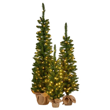 Set Of 3 Pre-Lit Christmas Trees Green Pine W/LED Lights, Hessian Base & Individual Plugs Varying Heights