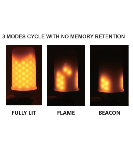LED Decorative Flame Effect Globes Fire B22/E27 5W Set of 2