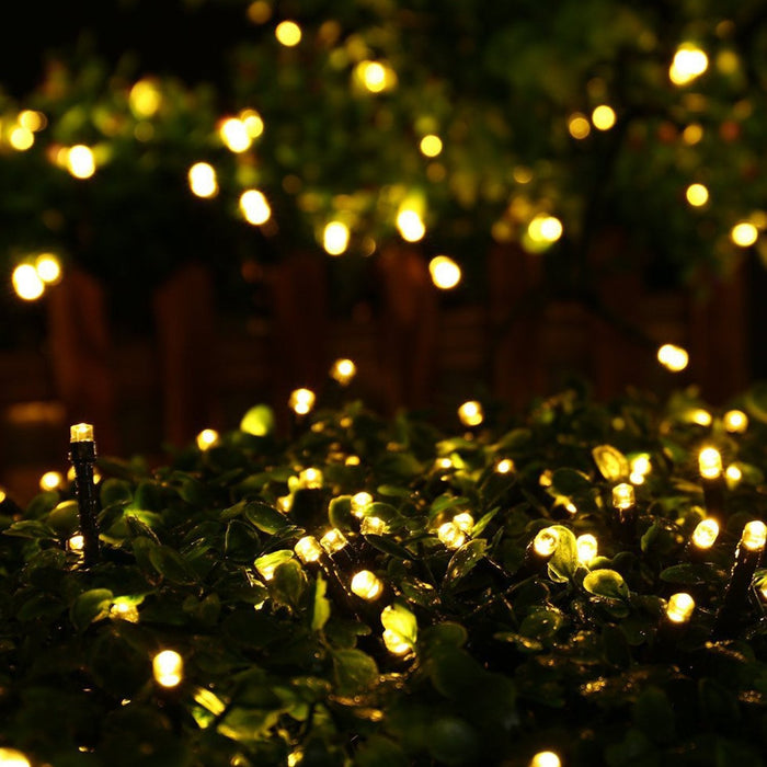 100 LED Fairy Light Chain Dark Green Cable - 3 Colour Options