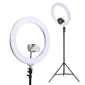 Embellir Ring Light 19 LED 6500K 5800LM Dimmable Diva With Stand Silver